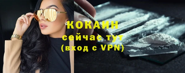 мдпв Мегион