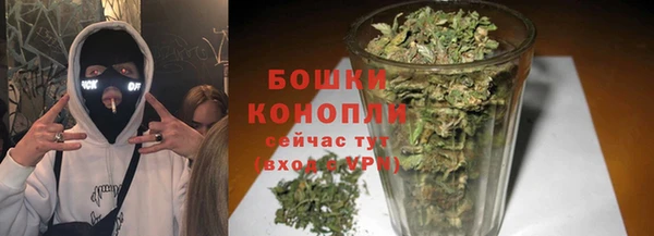мдпв Мегион