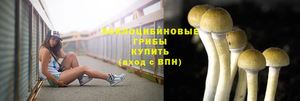 mdpv Вязьма