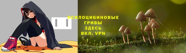 мдпв Мегион