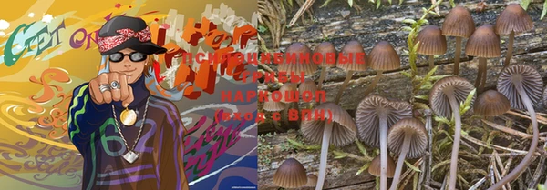 экстази Медвежьегорск
