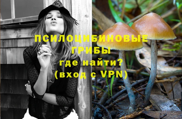 мдпв Мегион